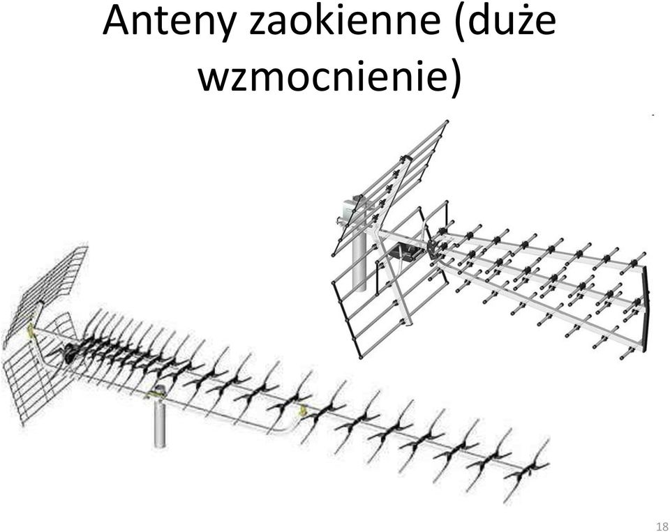 (duże