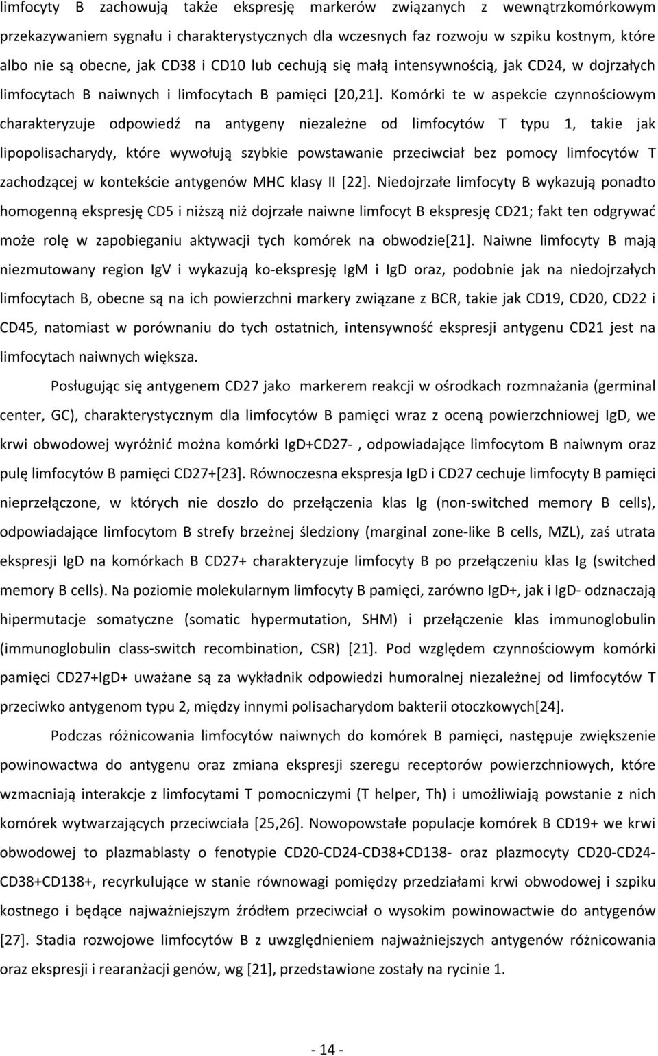 Komórki te w aspekcie czynnościowym charakteryzuje odpowiedź na antygeny niezależne od limfocytów T typu 1, takie jak lipopolisacharydy, które wywołują szybkie powstawanie przeciwciał bez pomocy