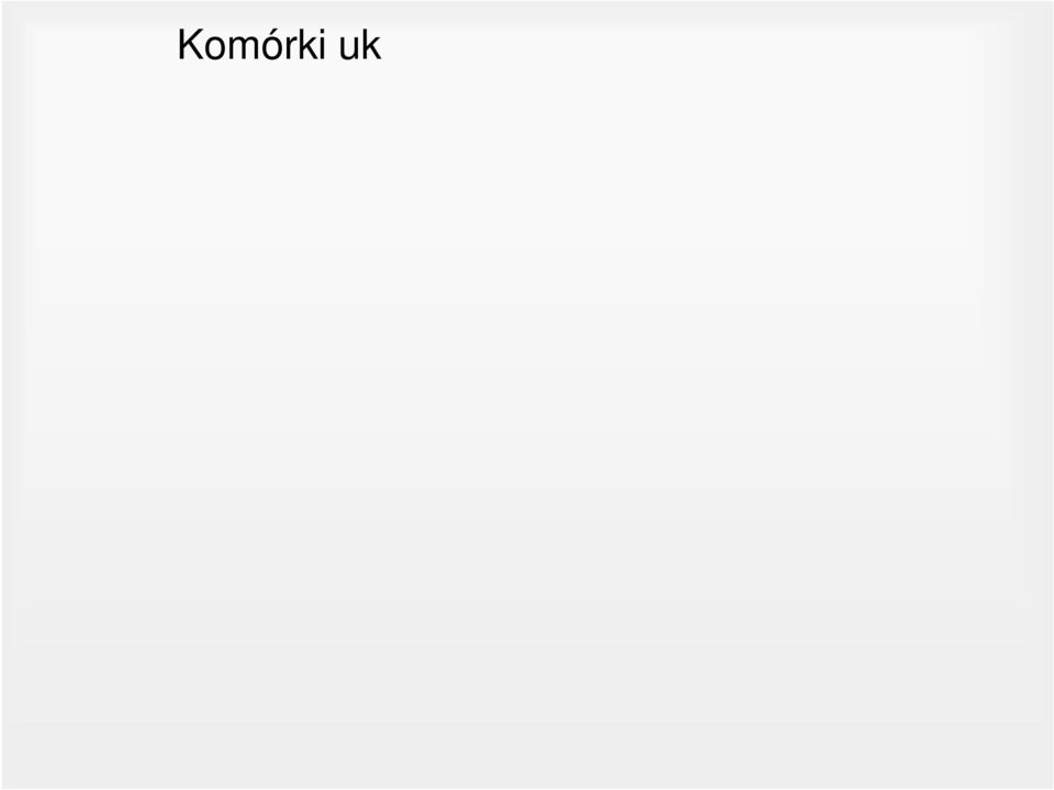 dendrytyczne grudek limfatycznych węzłów limfatycznych komórki M nabłonka