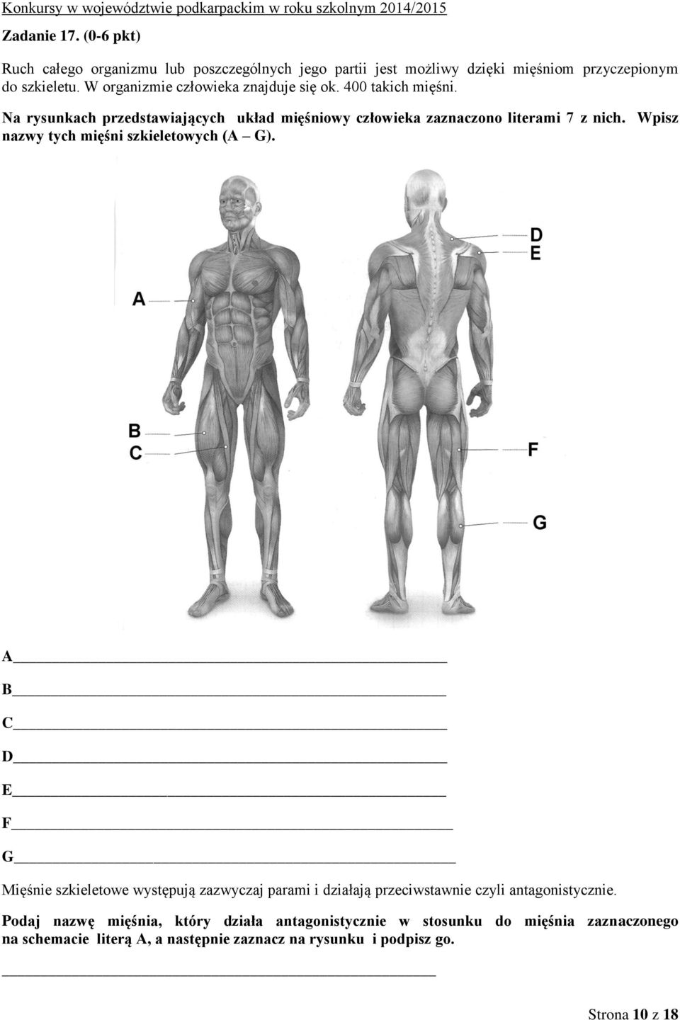 Wpisz nazwy tych mięśni szkieletowych (A G).