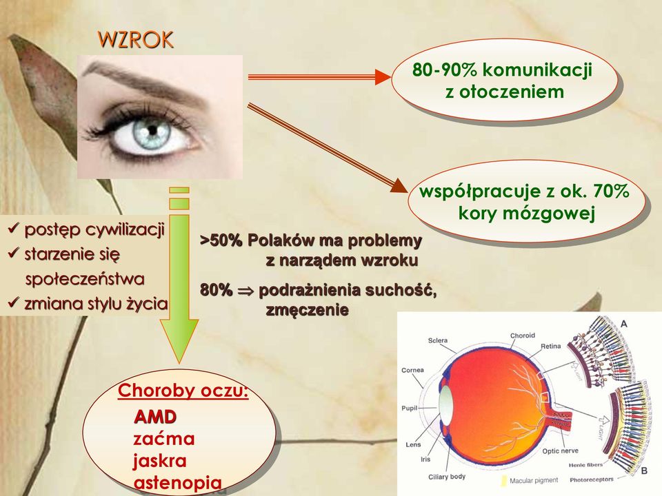 problemy z narządem wzroku 80% podrażnienia suchość, zmęczenie