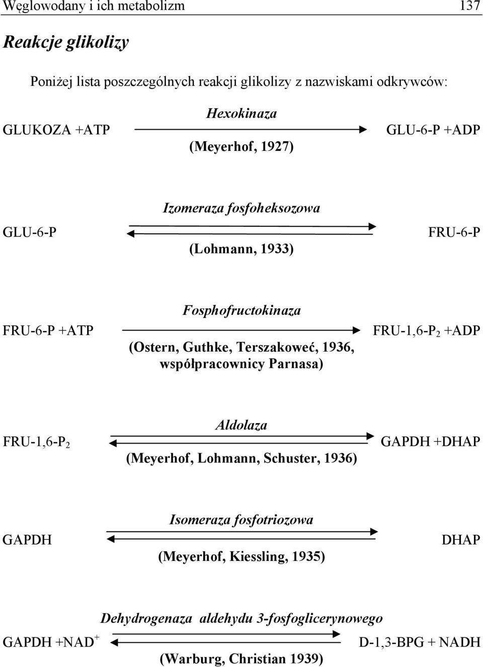 Guthke, Terszakoweć, 1936, współpracownicy Parnasa) FRU-1,6-P 2 +ADP FRU-1,6-P 2 Aldolaza (Meyerhof, Lohmann, Schuster, 1936) GAPDH +DHAP GAPDH