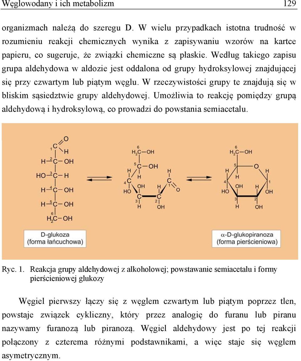 Według takiego zapisu grupa aldehydowa w aldozie jest oddalona od grupy hydroksylowej znajdującej się przy czwartym lub piątym węglu.
