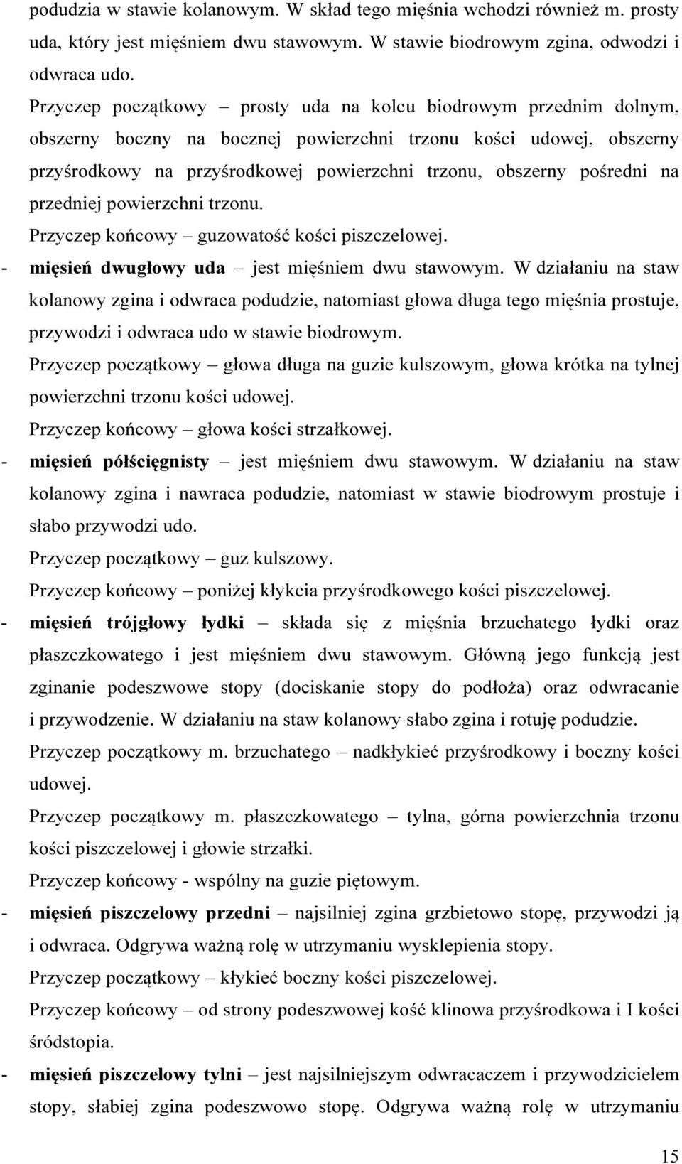 pośredni na przedniej powierzchni trzonu. Przyczep końcowy guzowatość kości piszczelowej. - mięsień dwugłowy uda jest mięśniem dwu stawowym.