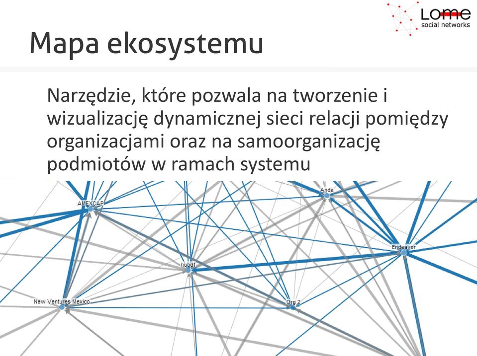 sieci relacji pomiędzy organizacjami oraz