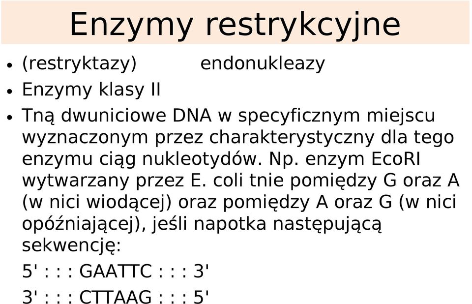 enzym EcoRI wytwarzany przez E.