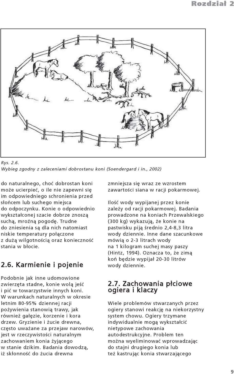 Konie o odpowiednio wykszta³conej szacie dobrze znosz¹ such¹, mroÿn¹ pogodê.