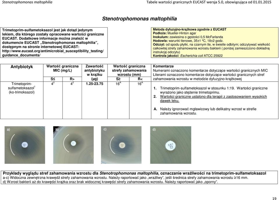 Dodatkowe informacje można znaleźć w dokumencie EUCAST Stenotrophomonas maltophilia, dostępnym na stronie internetowej EUCAST: http://www.eucast.