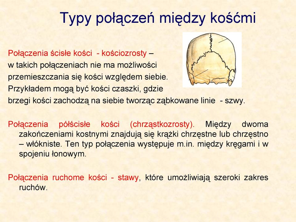 Połączenia Między Kośćmi Różnią Się Stopniem Ruchomości Tworzących Je Kości Budowa i rola części biernej układu ruchu - PDF Free Download