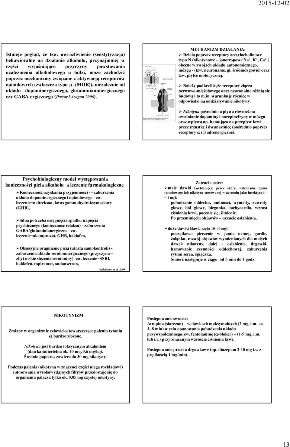 związane z aktywacją receptorów opioidowych(zwłaszcza typu µ-(mor)), niezależnie od układu dopaminergicznego, glutaminianiniergicznego czy GABA-ergicznego(Pastor i Aragon 2006).