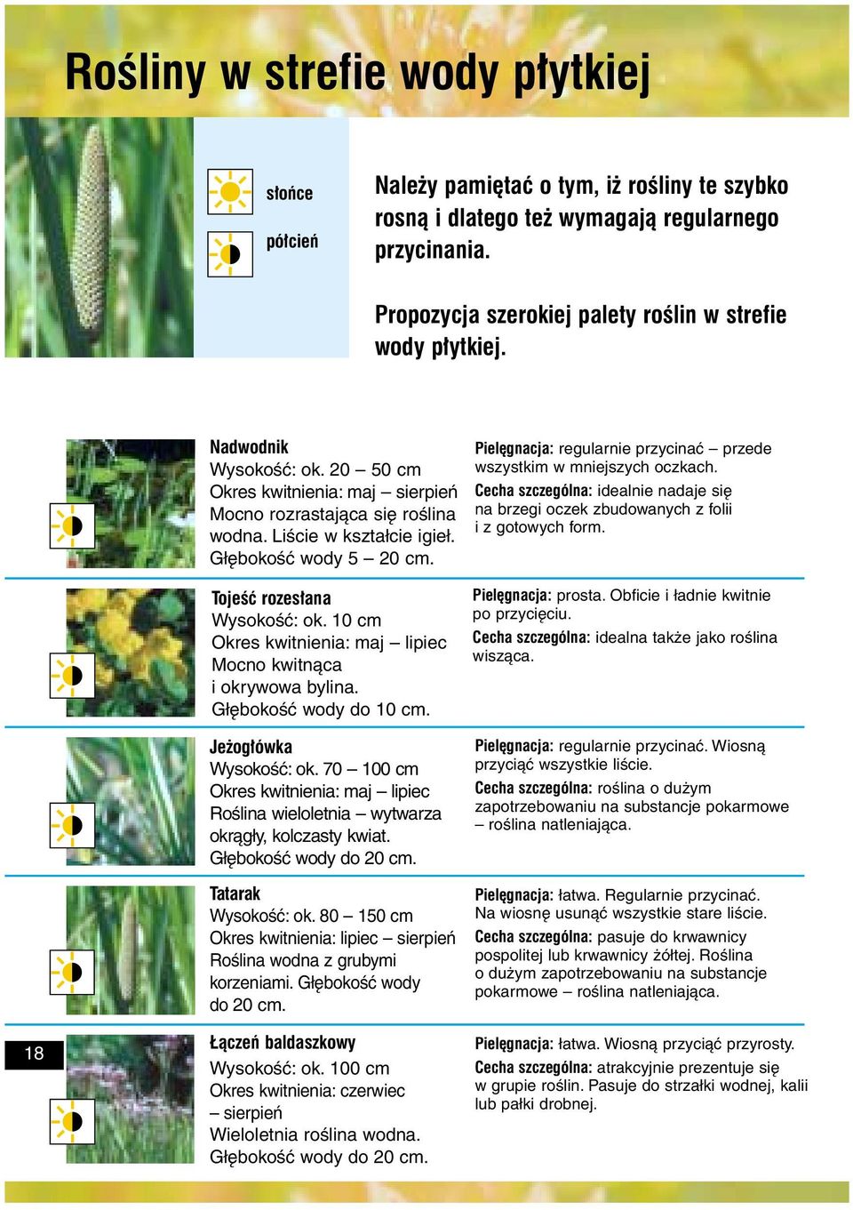 Głębokość wody 5 20 cm. Tojeœæ rozes³ana Wysokość: ok. 10 cm Okres kwitnienia: maj lipiec Mocno kwitnąca i okrywowa bylina. Głębokość wody do 10 cm. Je og³ówka Wysokość: ok.