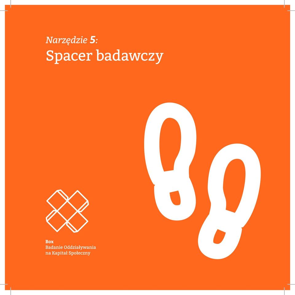 badawczy