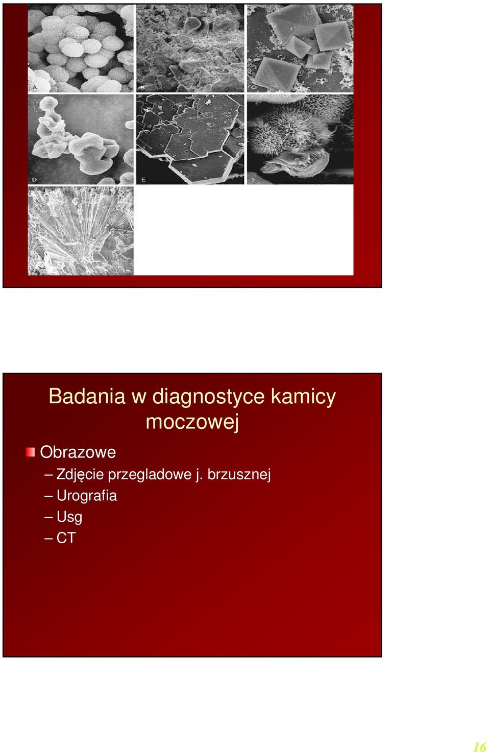 Zdjęcie przegladowe j.