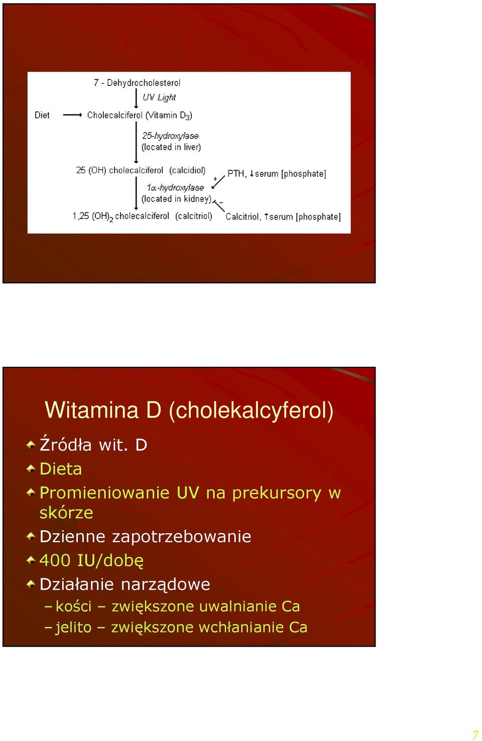 Dzienne zapotrzebowanie 400 IU/dobę Działanie