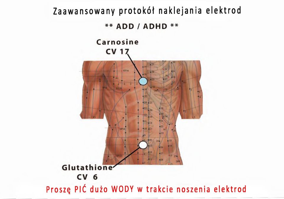 Carnosine