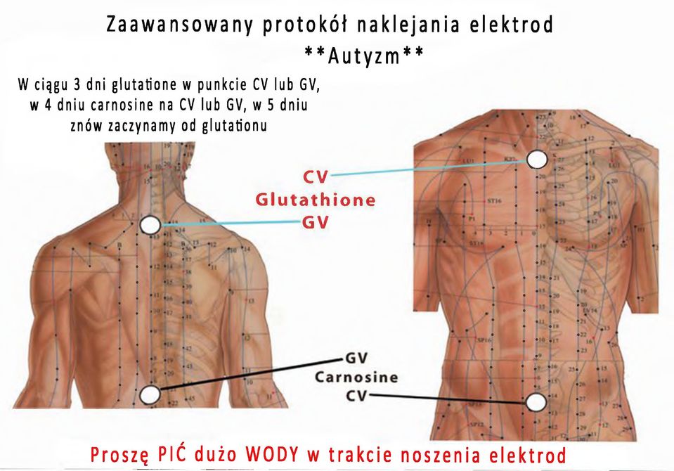 i i i ) B #1 0 7 ^ # cv------ G lu ta th io n e ---------GV - 1 U l i S