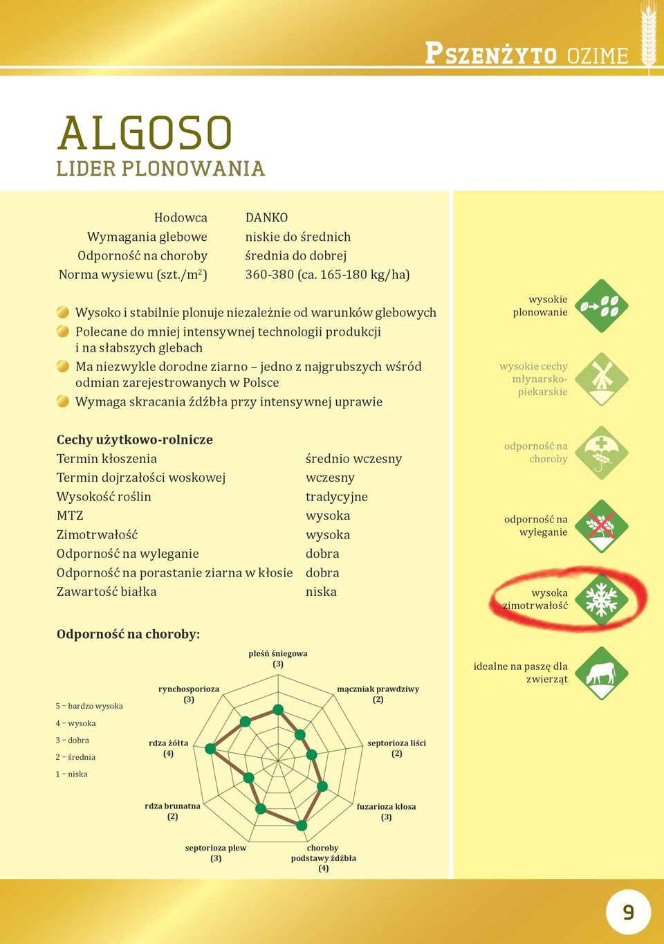 wśród odmian zarejestrowanych w Polsce Wymaga skracania źdźbła przy intensywnej uprawie wysokie plonowanie wysokie cechy młynarskopiekarskie Cechy użytkowo-rolnicze Termin kłoszenia Termin