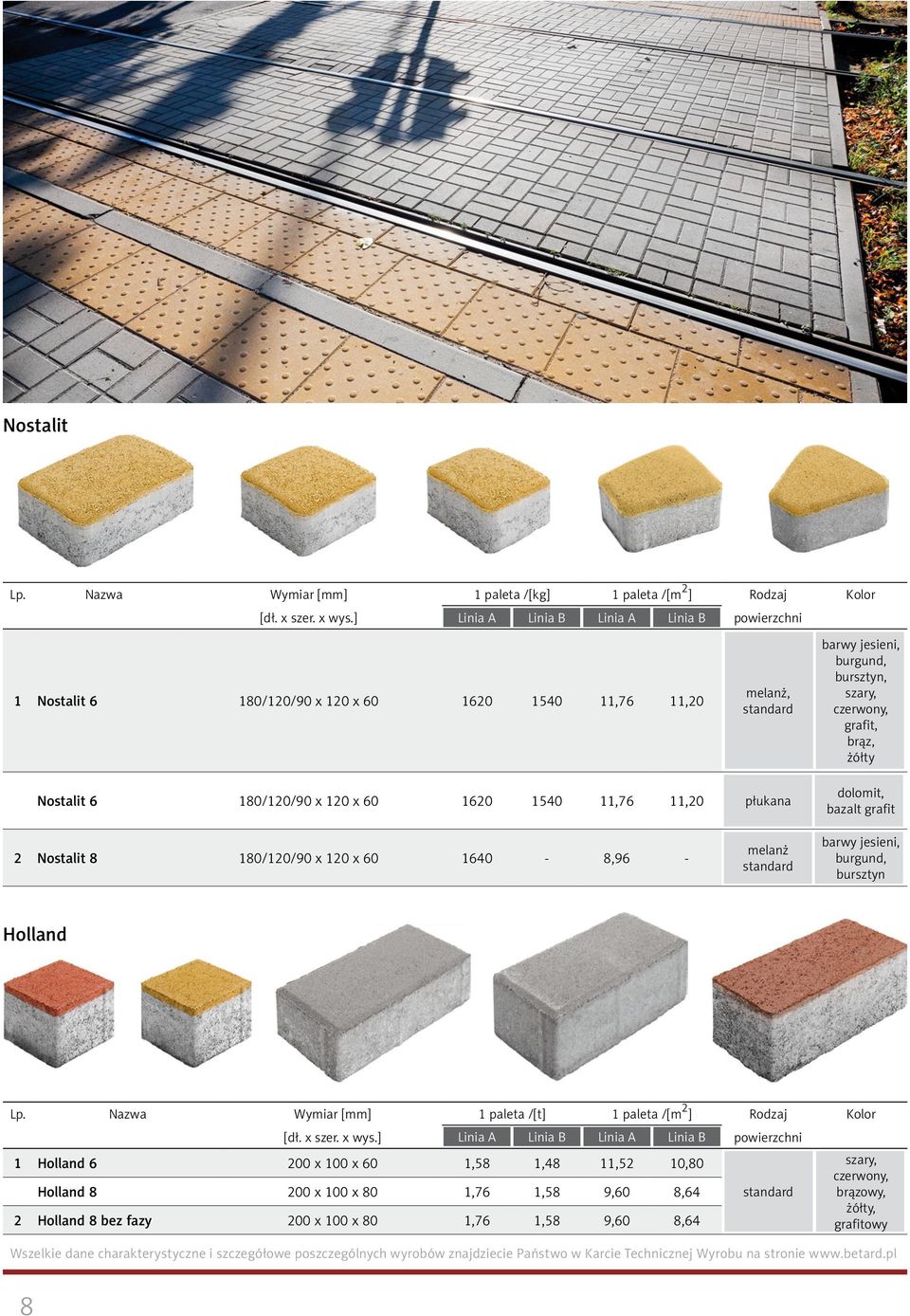 6 180/120/90 x 120 x 60 1620 1540 11,76 11,20 płukana dolomit, bazalt grafit 2 Nostalit 8 180/120/90 x 120 x 60 1640-8,96 - melanż standard barwy jesieni, burgund, bursztyn Holland Lp.