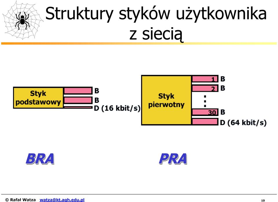 siecią BRA PRA