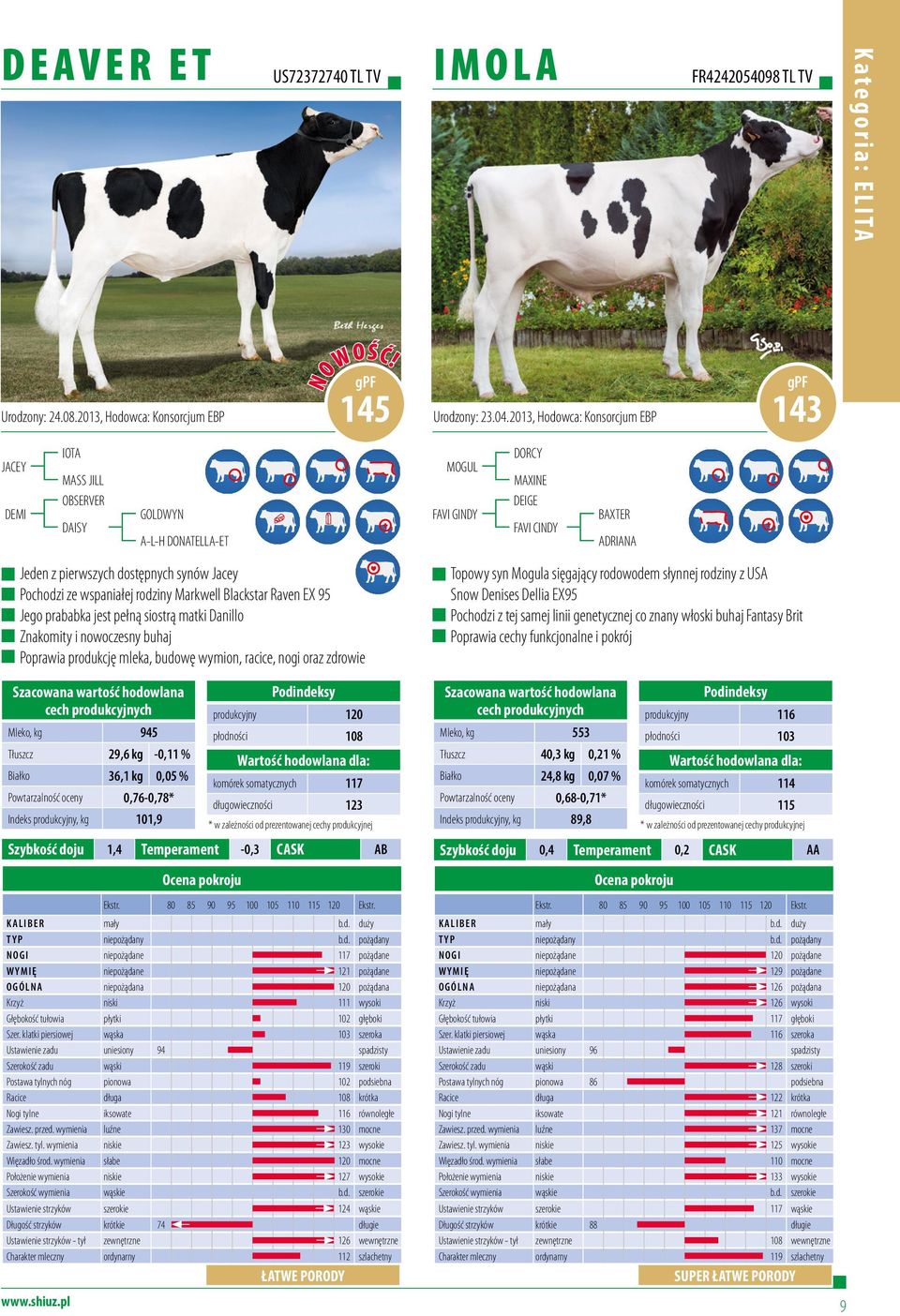 Jacey Pochodzi ze wspaniałej rodziny Markwell Blackstar Raven EX 95 Jego prababka jest pełną siostrą matki Danillo Znakomity i nowoczesny buhaj Poprawia produkcję mleka, budowę wymion, racice, nogi