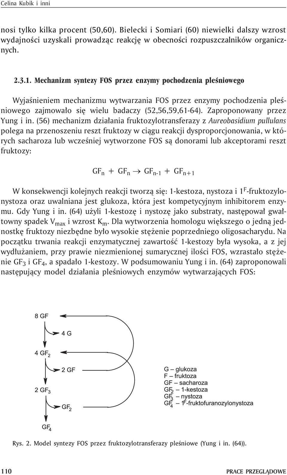 Zaproponowany przez Yung i in.