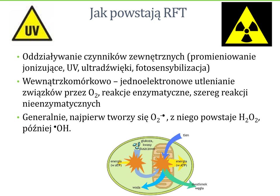 jednoelektronowe utlenianie związków przez O 2, reakcje enzymatyczne, szereg