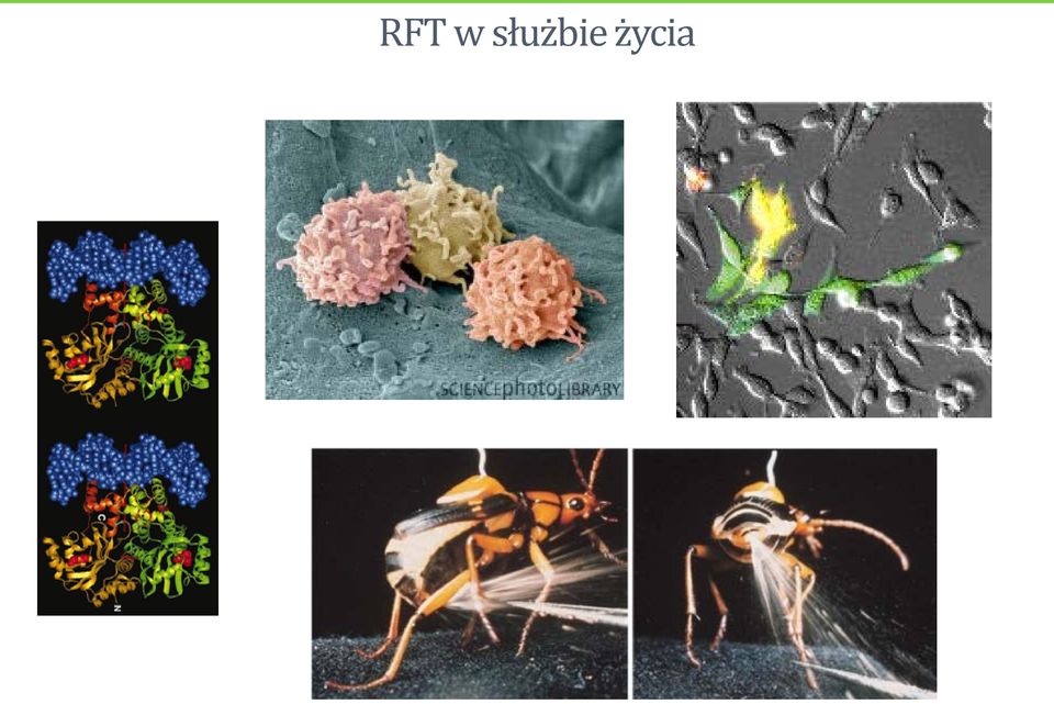 życia