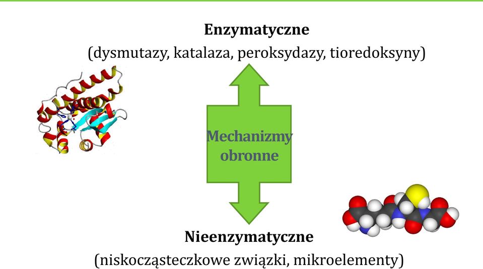 Mechanizmy obronne Nieenzymatyczne