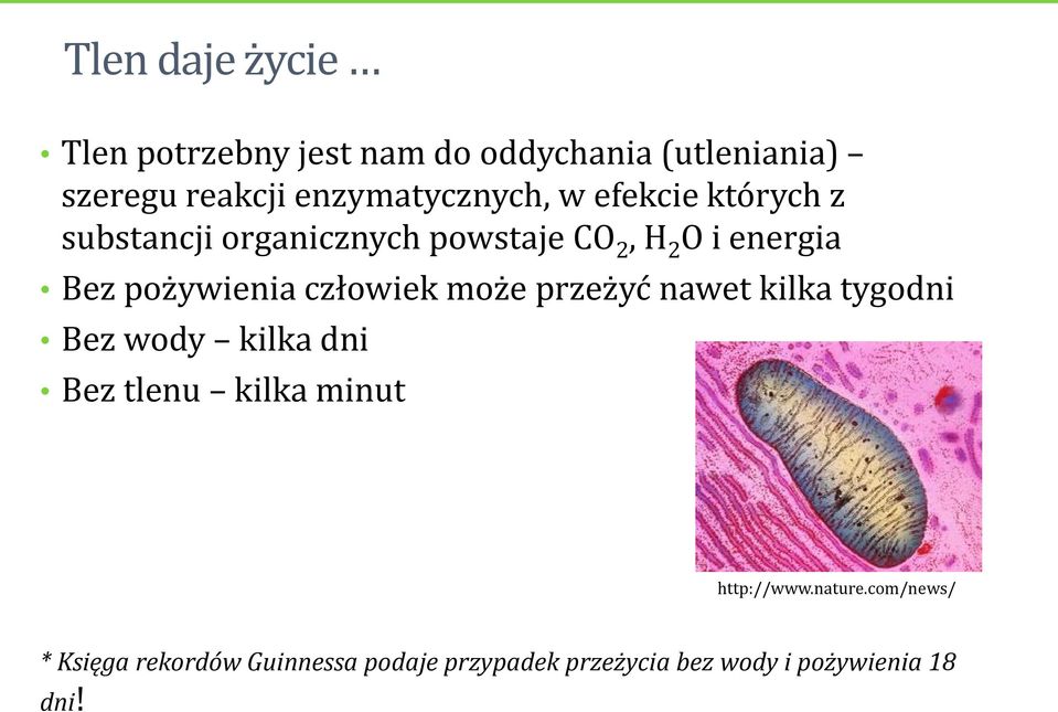 pożywienia człowiek może przeżyć nawet kilka tygodni Bez wody kilka dni Bez tlenu kilka minut