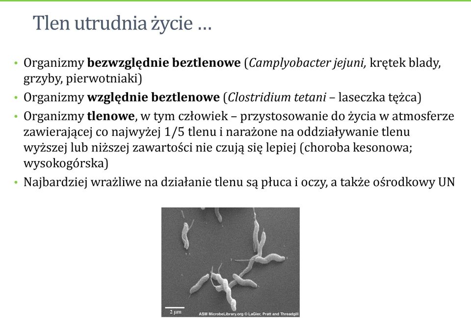 życia w atmosferze zawierającej co najwyżej 1/5 tlenu i narażone na oddziaływanie tlenu wyższej lub niższej zawartości