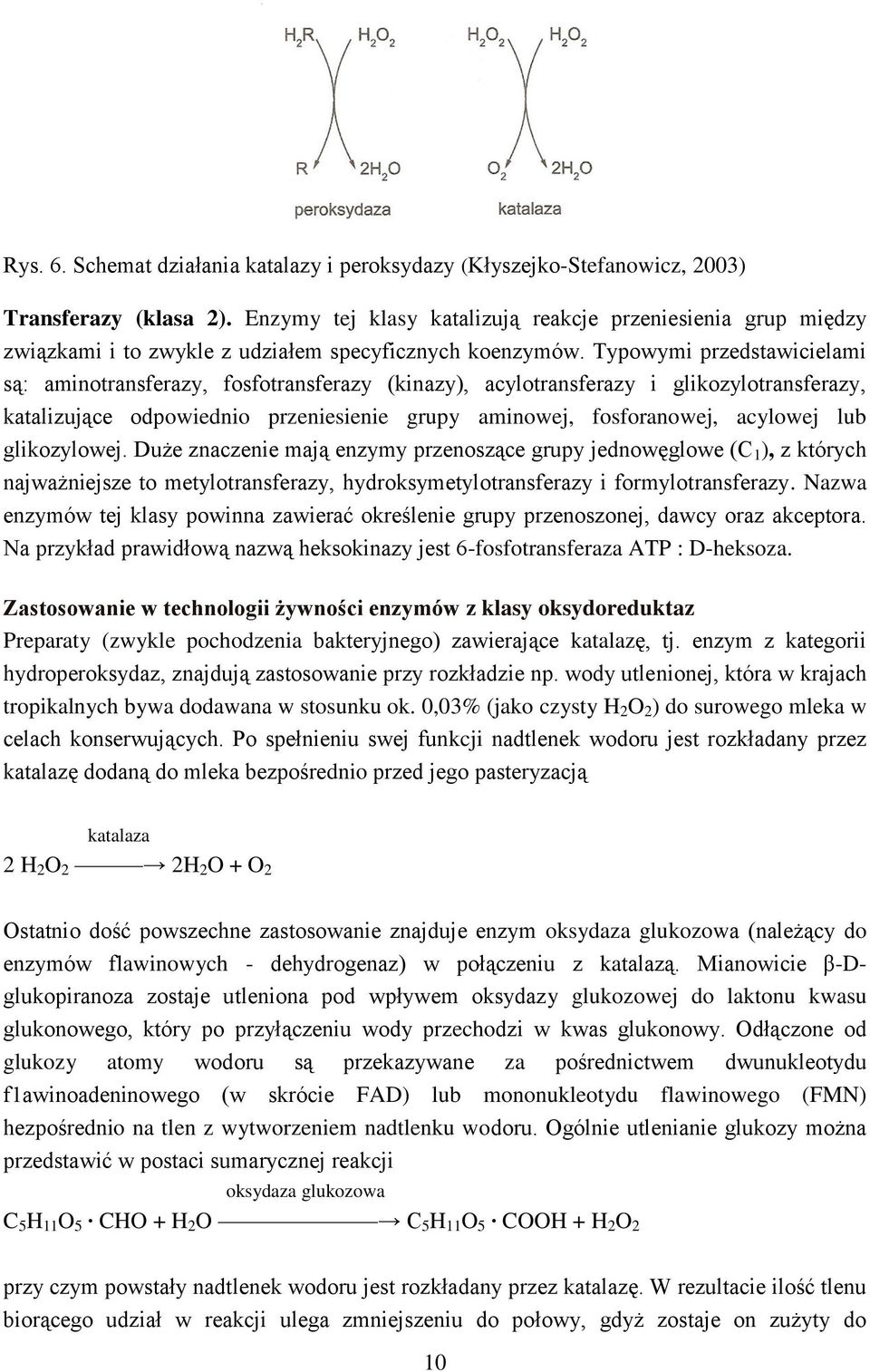 Typowymi przedstawicielami są: aminotransferazy, fosfotransferazy (kinazy), acylotransferazy i glikozylotransferazy, katalizujące odpowiednio przeniesienie grupy aminowej, fosforanowej, acylowej lub