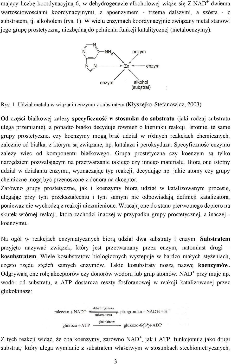 Udział metalu w wiązaniu enzymu z substratem (Kłyszejko-Stefanowicz, 2003) Od części białkowej zależy specyficzność w stosunku do substratu (jaki rodzaj substratu ulega przemianie), a ponadto białko