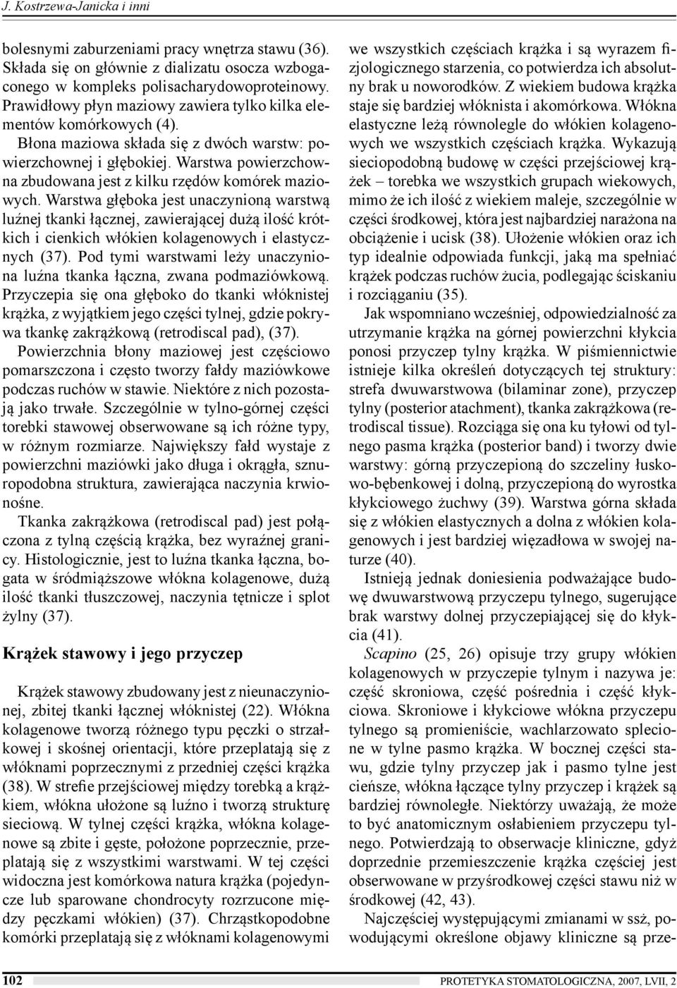Warstwa powierzchowna zbudowana jest z kilku rzędów komórek maziowych.