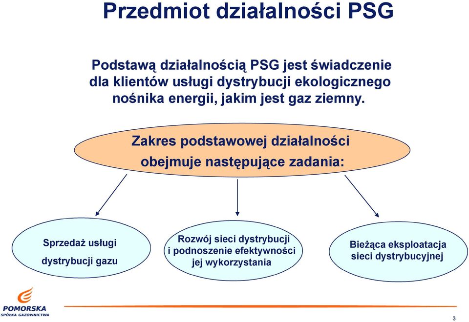 Zakres podstawowej działalności obejmuje następujące zadania: Sprzedaż usługi dystrybucji