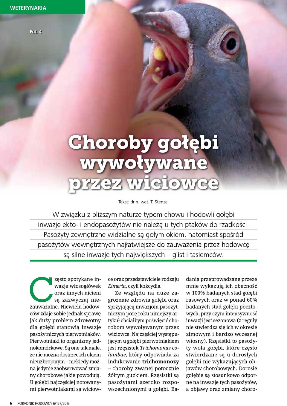 Często spotykane inwazje włosogłówek oraz innych nicieni są zazwyczaj niezauważalne.