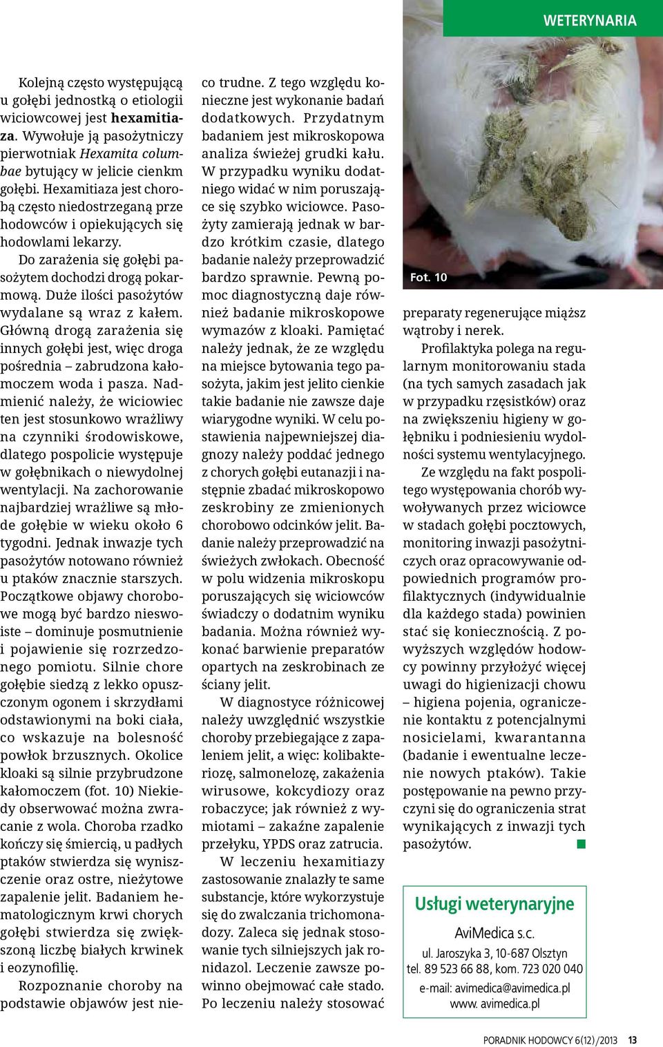 Duże ilości pasożytów wydalane są wraz z kałem. Główną drogą zarażenia się innych gołębi jest, więc droga pośrednia zabrudzona kałomoczem woda i pasza.