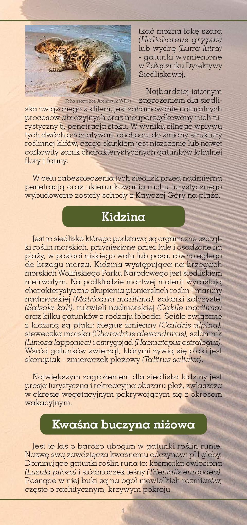 W wyniku silnego wpływu tych dwóch oddziaływań, dochodzi do zmiany struktury roślinnej klifów, czego skutkiem jest niszczenie lub nawet całkowity zanik charakterystycznych gatunków lokalnej flory i