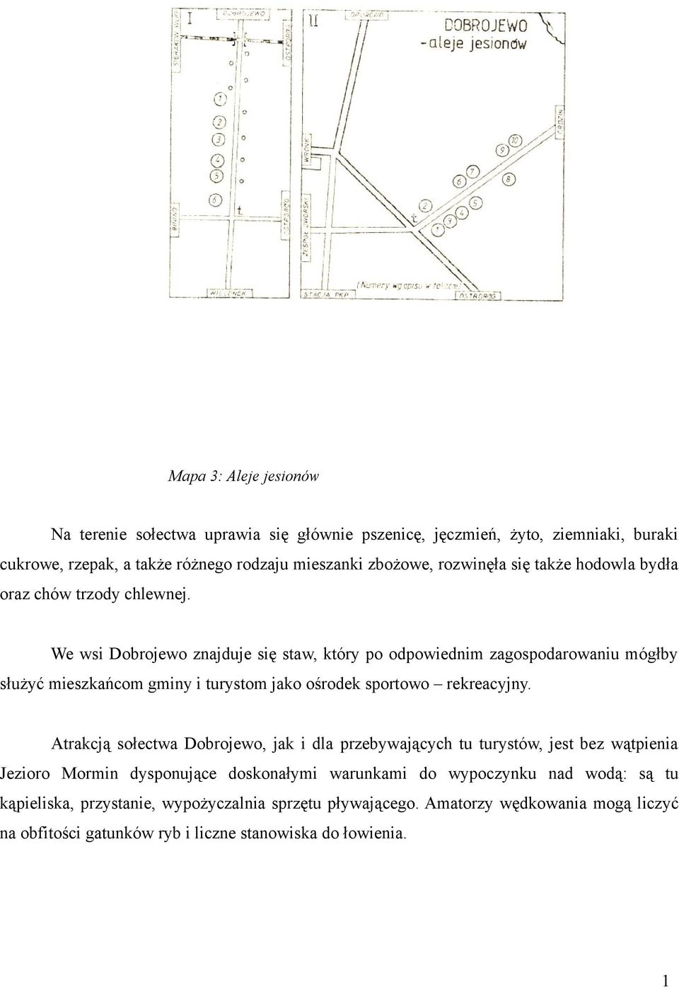 We wsi Dobrojewo znajduje się staw, który po odpowiednim zagospodarowaniu mógłby służyć mieszkańcom gminy i turystom jako ośrodek sportowo rekreacyjny.