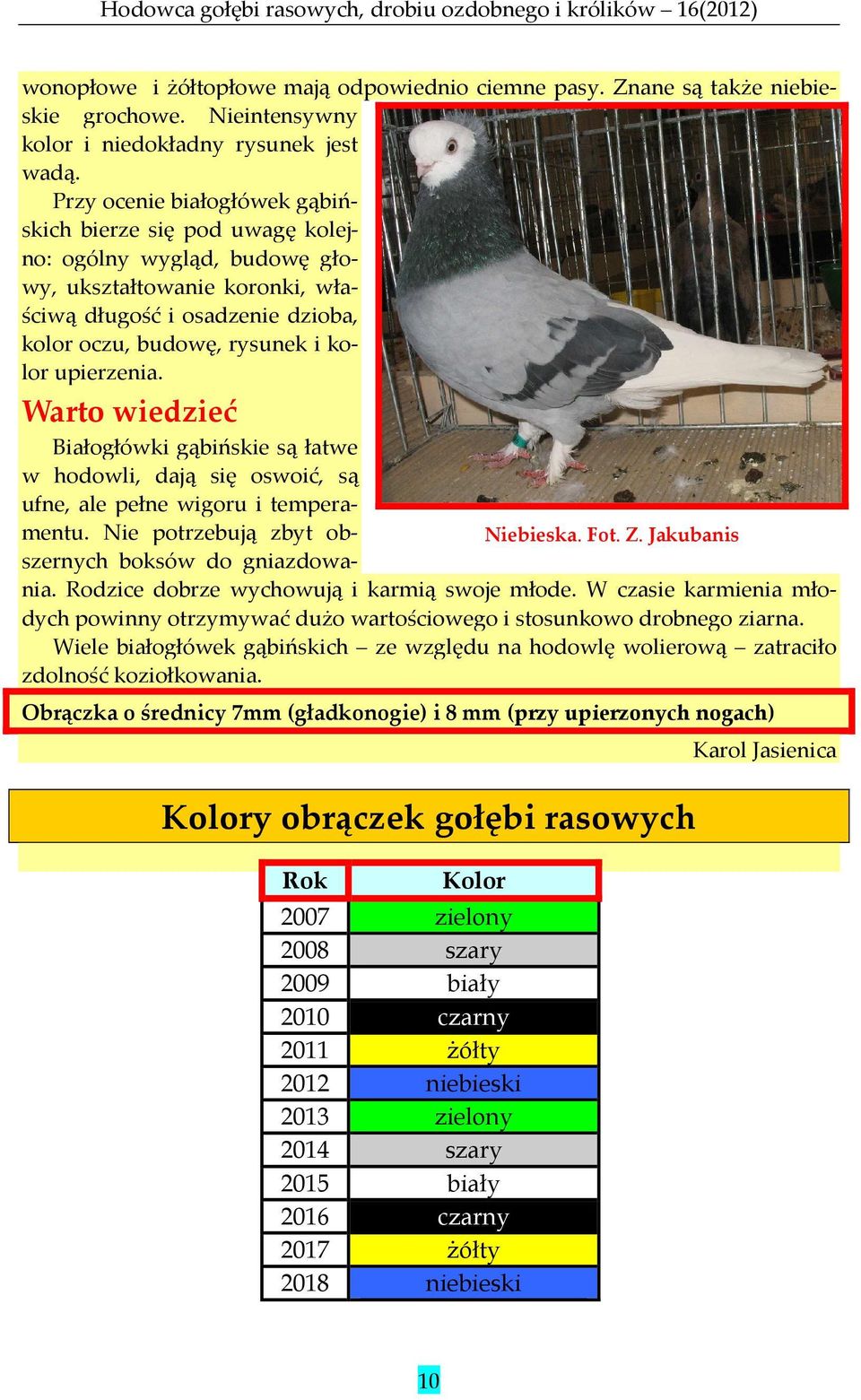 upierzenia. Warto wiedzieć Białogłówki gąbińskie są łatwe w hodowli, dają się oswoić, są ufne, ale pełne wigoru i temperamentu. Nie potrzebują zbyt obszernych boksów do gniazdowa- Niebieska. Fot. Z.