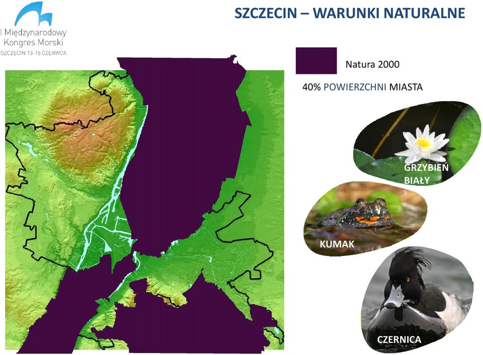 40% POWIERZCHNI MIASTA