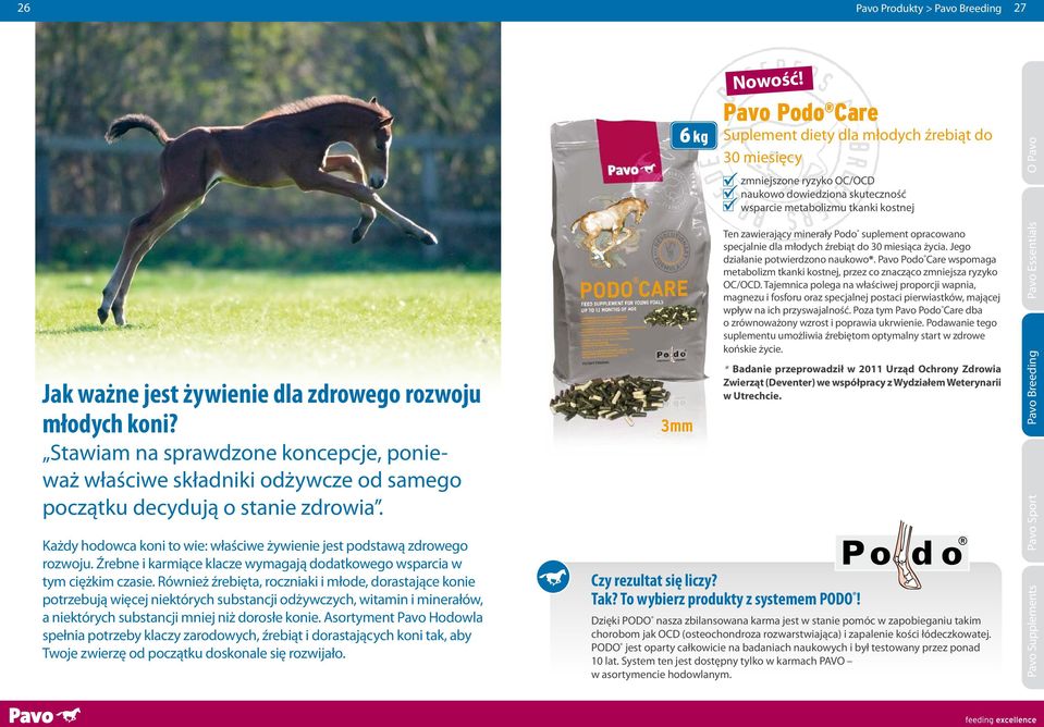 Źrebne i karmiące klacze wymagają dodatkowego wsparcia w tym ciężkim czasie.