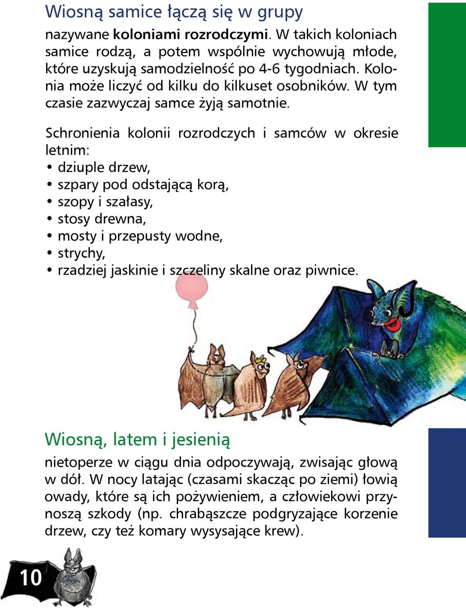 Schronienia kolonii rozrodczych i samców w okresie letnim: dziuple drzew, szpary pod odstającą korą, szopy i szałasy, stosy drewna, mosty i przepusty wodne, strychy, rzadziej jaskinie i