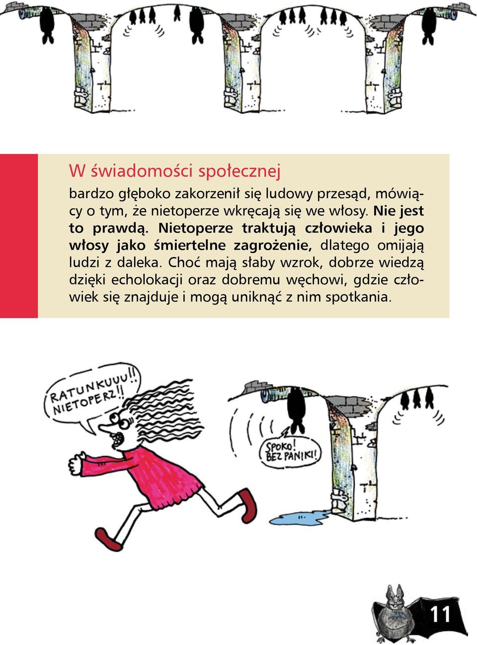 Nietoperze traktują człowieka i jego włosy jako śmiertelne zagrożenie, dlatego omĳają ludzi z