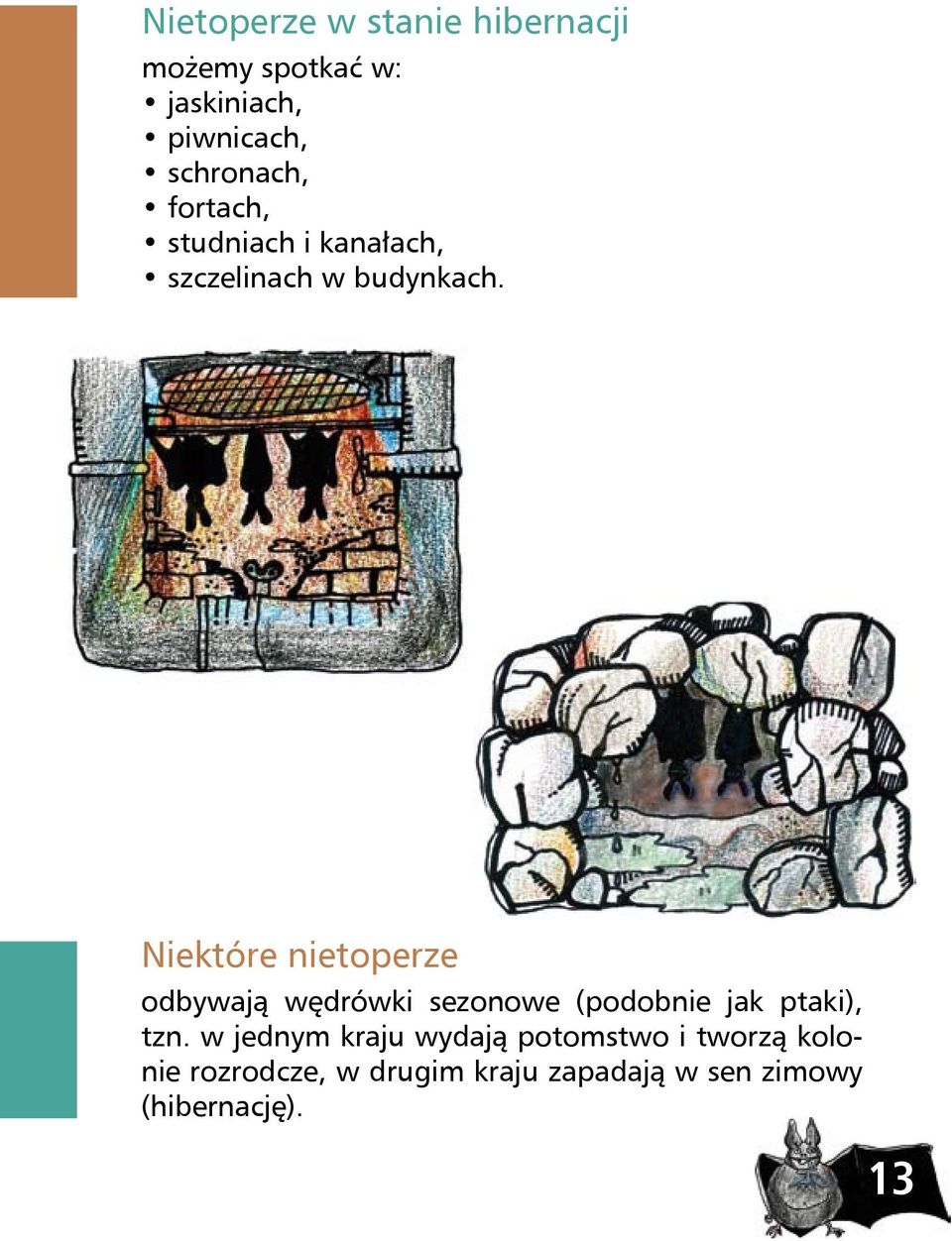 Niektóre nietoperze odbywają wędrówki sezonowe (podobnie jak ptaki), tzn.