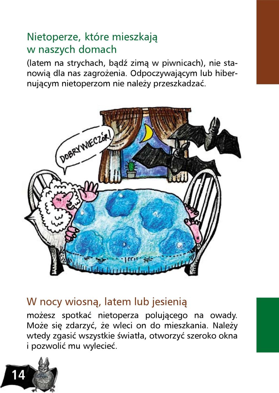 W nocy wiosną, latem lub jesienią możesz spotkać nietoperza polującego na owady.