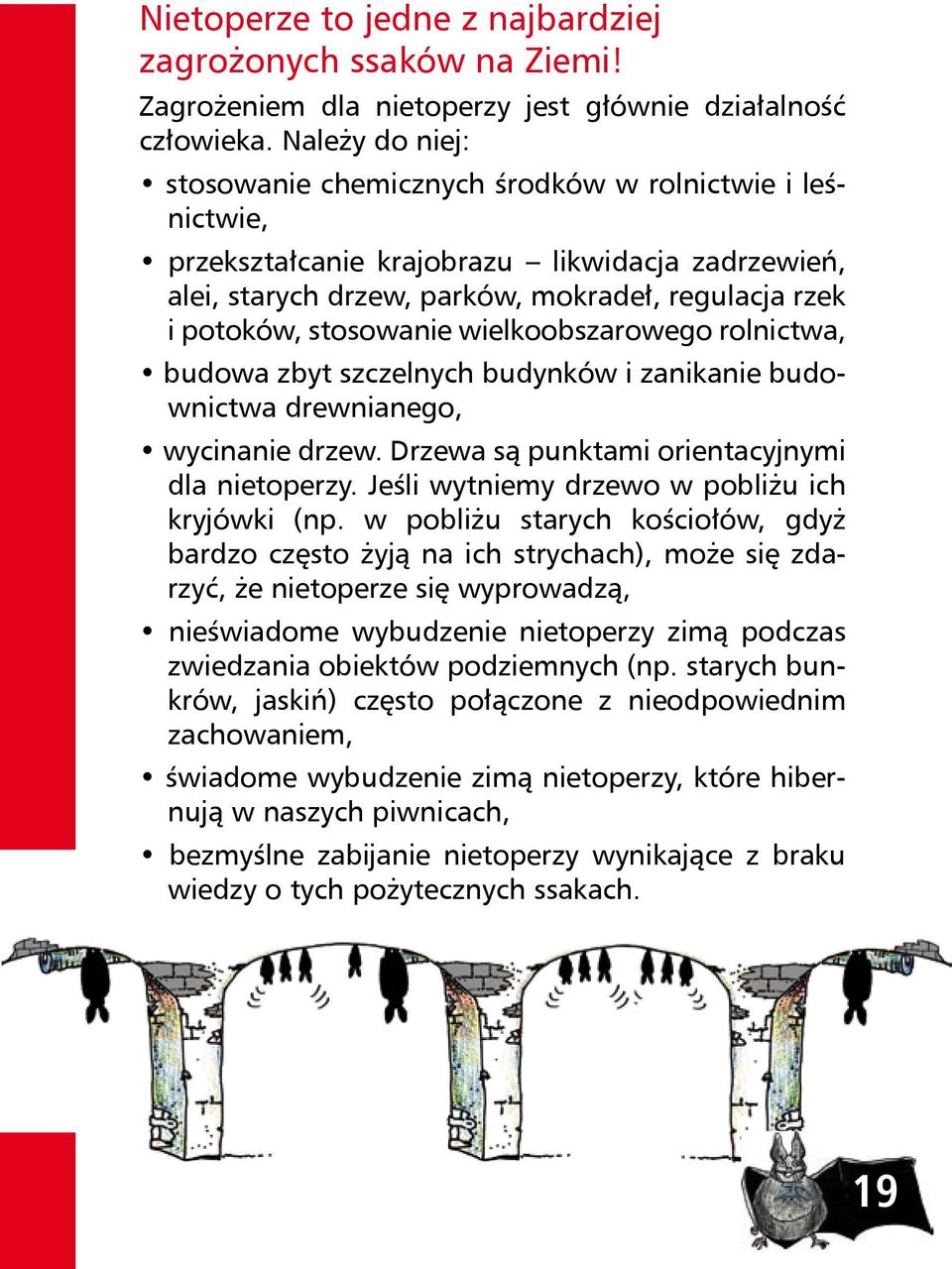 wielkoobszarowego rolnictwa, budowa zbyt szczelnych budynków i zanikanie budownictwa drewnianego, wycinanie drzew. Drzewa są punktami orientacyjnymi dla nietoperzy.
