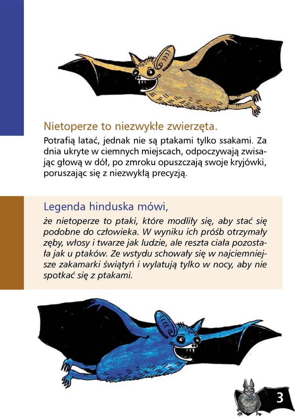 precyzją. Legenda hinduska mówi, że nietoperze to ptaki, które modliły się, aby stać się podobne do człowieka.