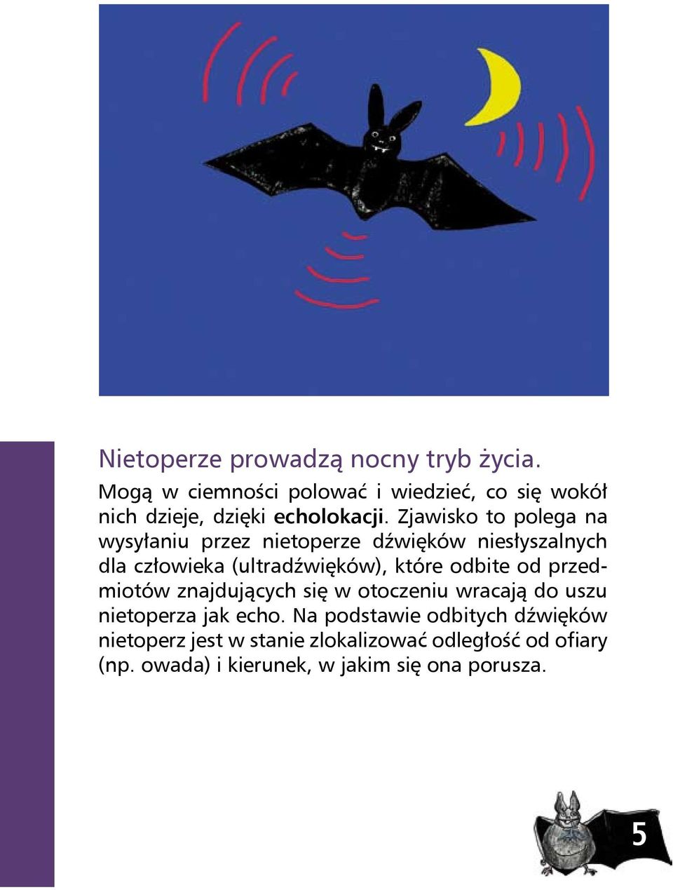 Zjawisko to polega na wysyłaniu przez nietoperze dźwięków niesłyszalnych dla człowieka (ultradźwięków), które