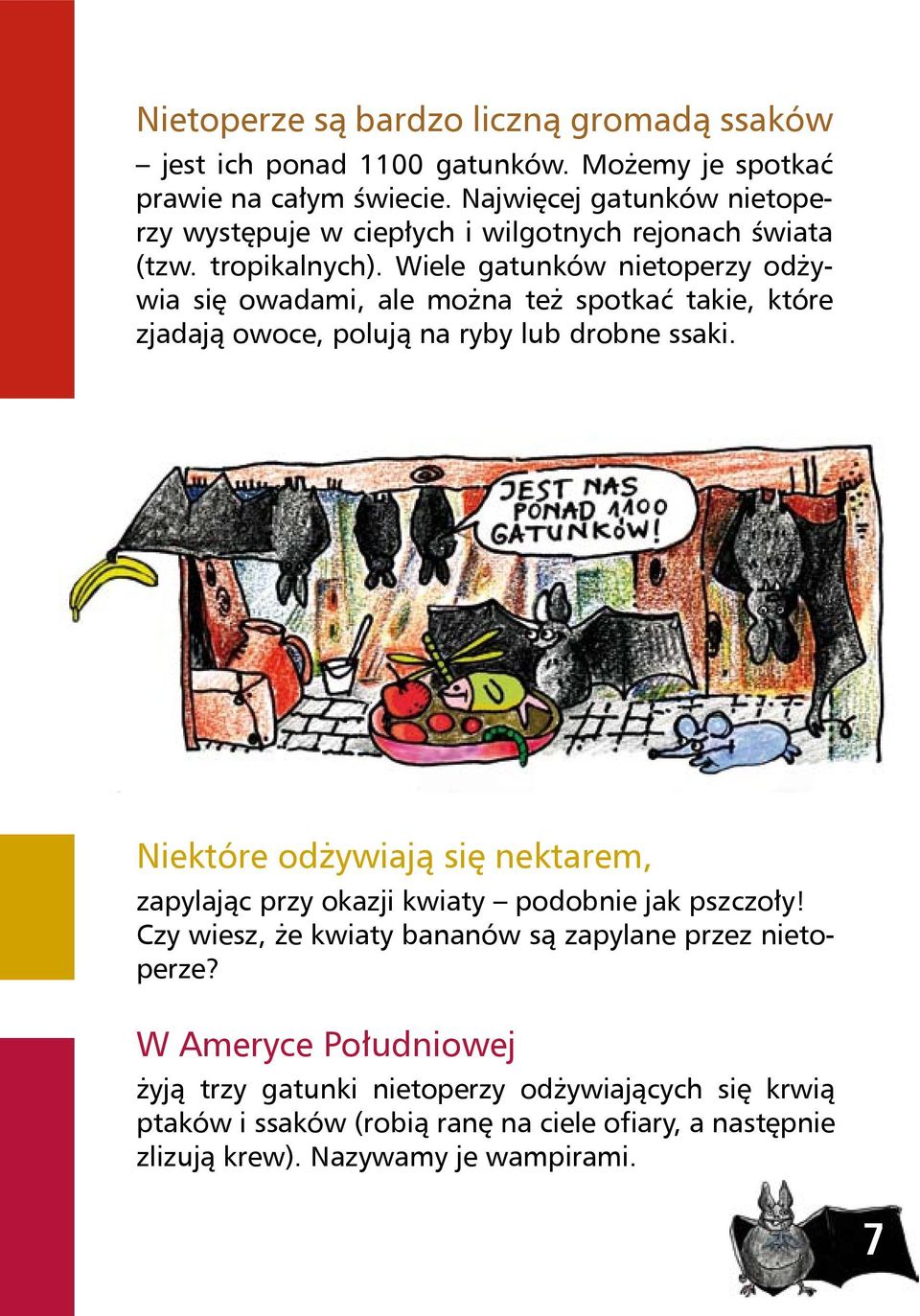 Wiele gatunków nietoperzy odżywia się owadami, ale można też spotkać takie, które zjadają owoce, polują na ryby lub drobne ssaki.