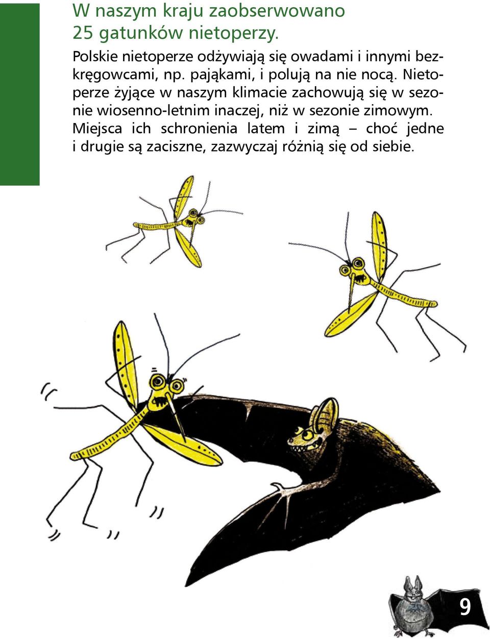 pająkami, i polują na nie nocą.